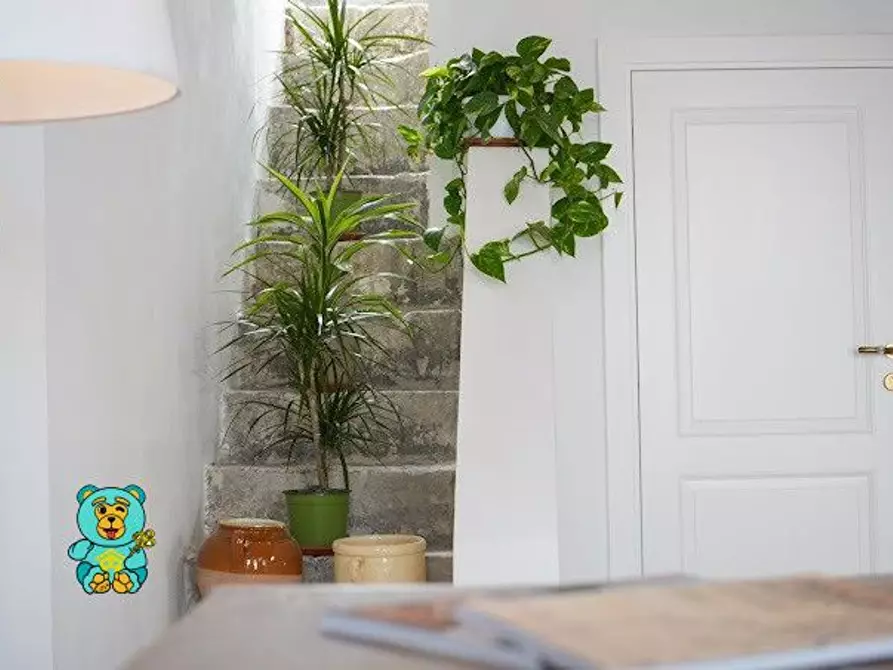 Immagine 10 di Casa indipendente in vendita  a Soleto