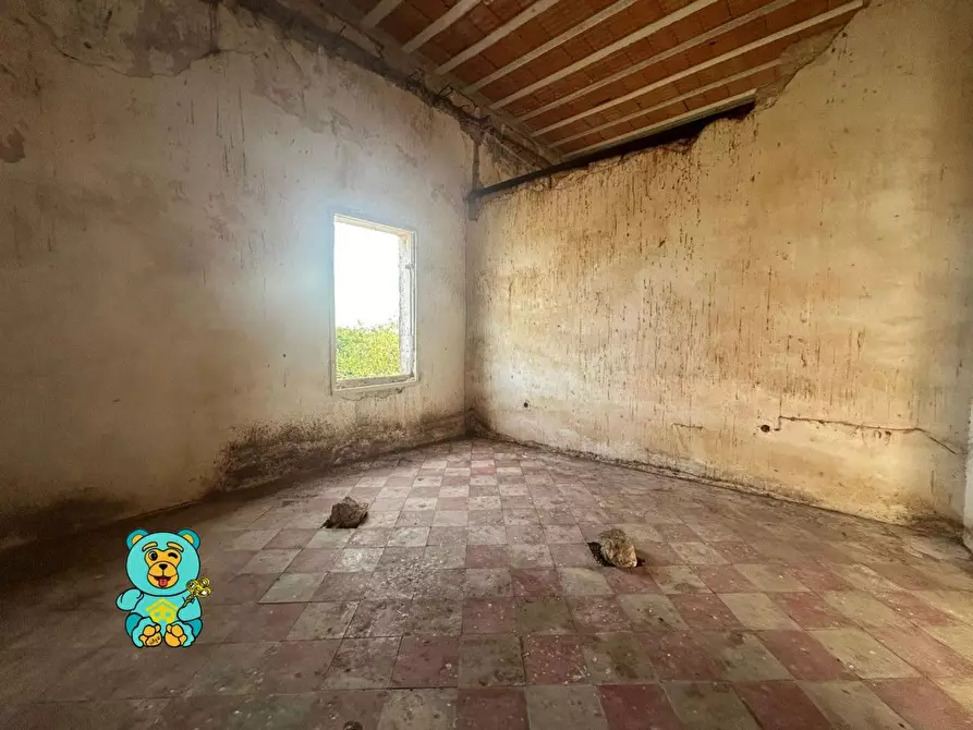 Immagine 26 di Casa colonica in vendita  a Squinzano