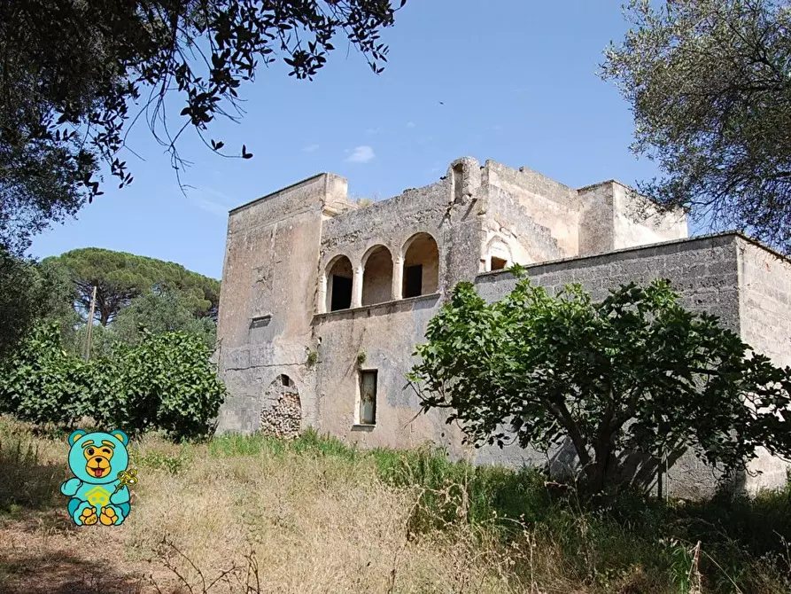 Immagine 3 di Casa colonica in vendita  a Squinzano