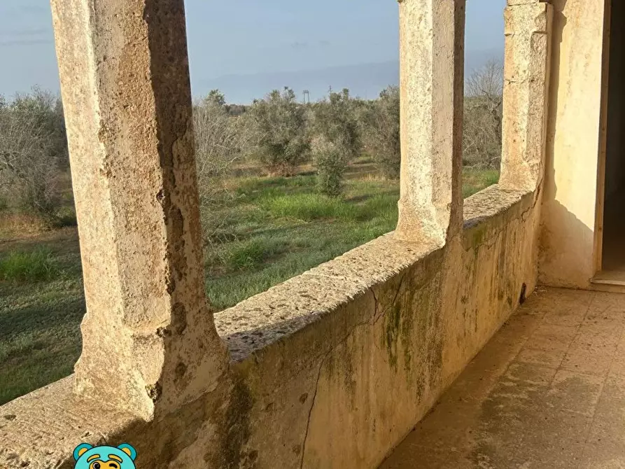 Immagine 12 di Casa colonica in vendita  a Squinzano