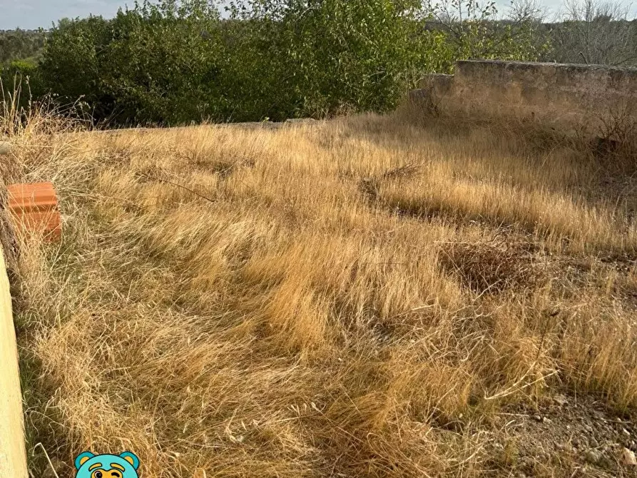 Immagine 9 di Casa colonica in vendita  a Squinzano