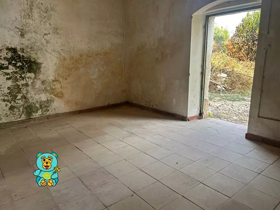 Immagine 37 di Casa colonica in vendita  a Squinzano