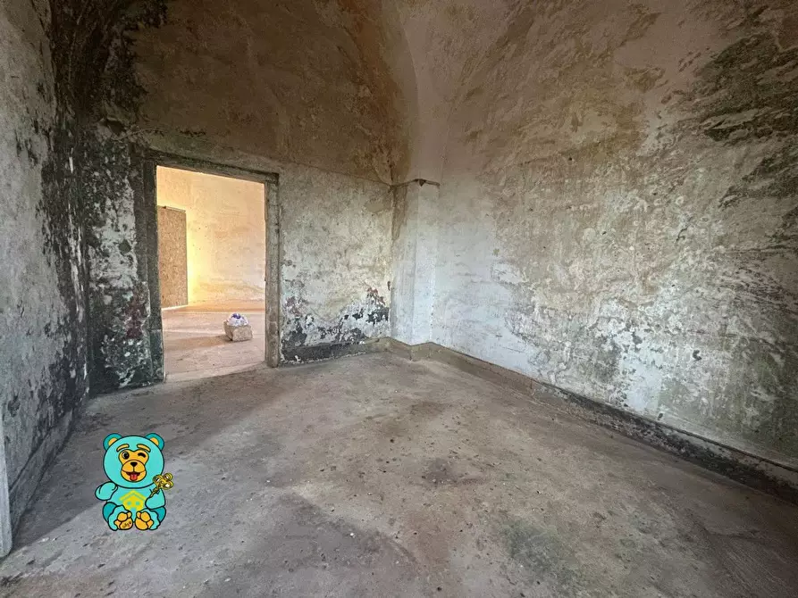 Immagine 28 di Casa colonica in vendita  a Squinzano