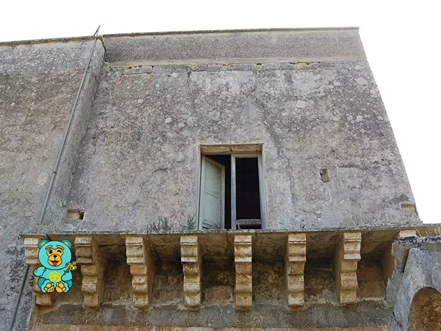 Immagine 7 di Casa colonica in vendita  a Squinzano