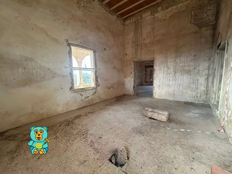 Immagine 22 di Casa colonica in vendita  a Squinzano