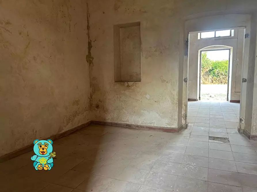 Immagine 41 di Casa colonica in vendita  a Squinzano