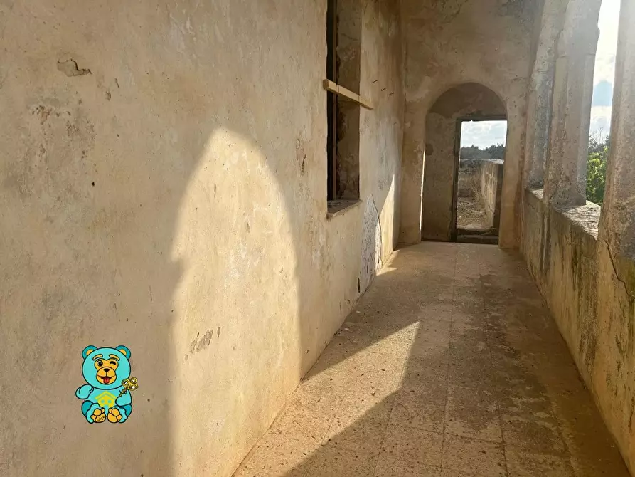Immagine 11 di Casa colonica in vendita  a Squinzano