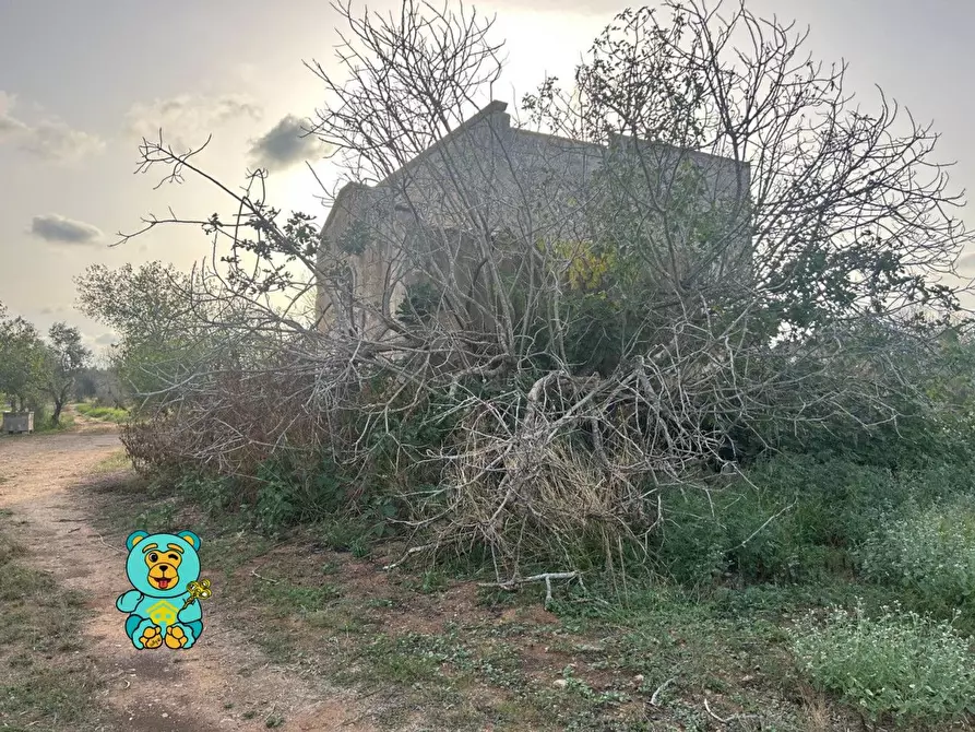 Immagine 45 di Casa colonica in vendita  a Squinzano