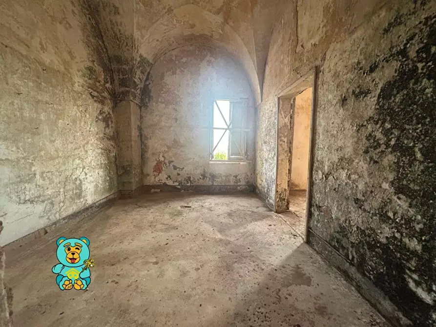 Immagine 30 di Casa colonica in vendita  a Squinzano