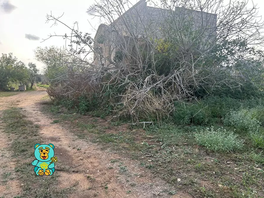 Immagine 47 di Casa colonica in vendita  a Squinzano