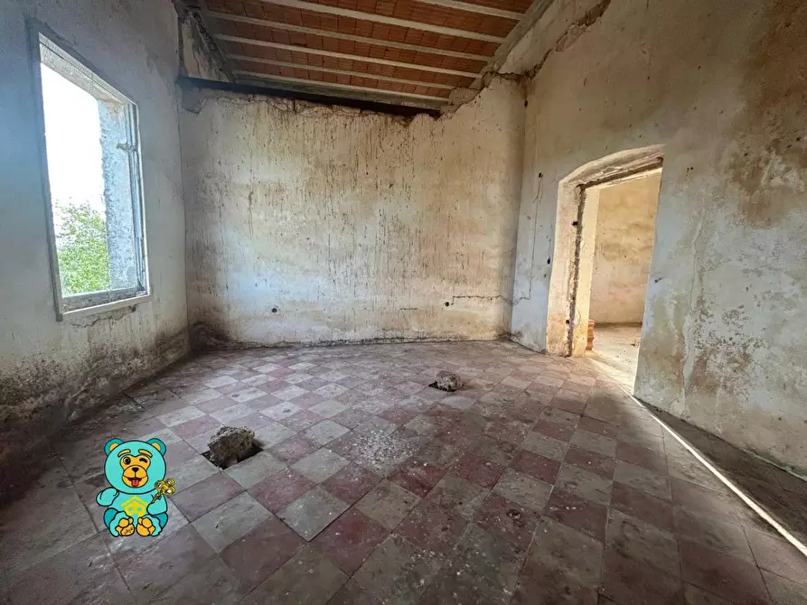 Immagine 25 di Casa colonica in vendita  a Squinzano