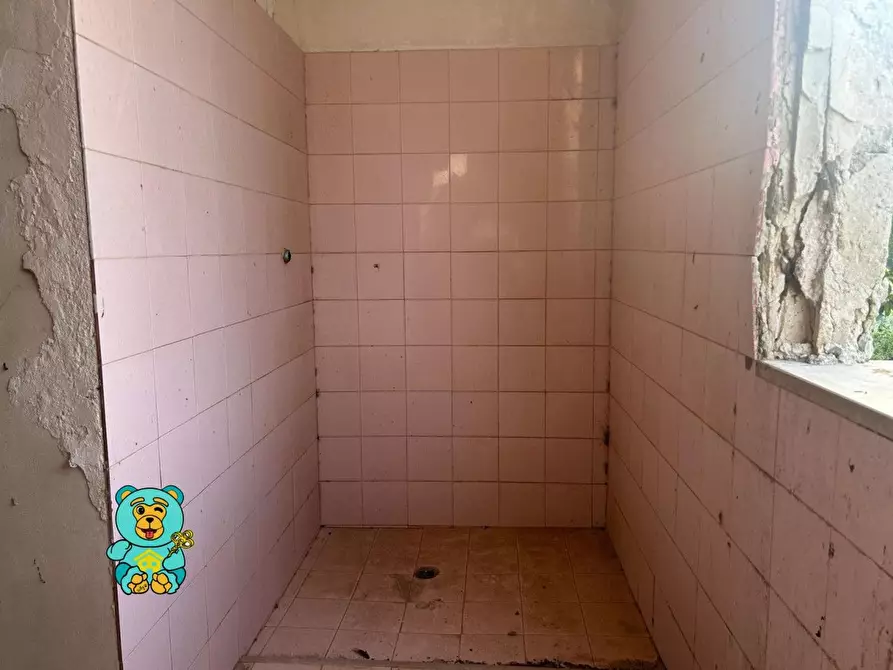 Immagine 46 di Casa colonica in vendita  a Squinzano