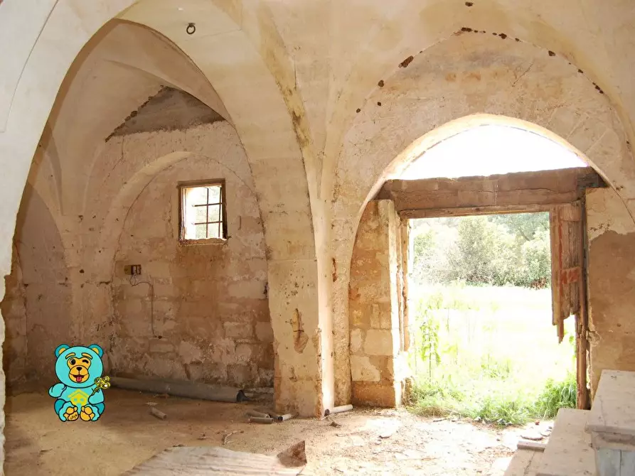 Immagine 5 di Casa colonica in vendita  a Squinzano