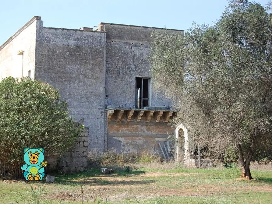 Immagine 1 di Casa colonica in vendita  a Squinzano