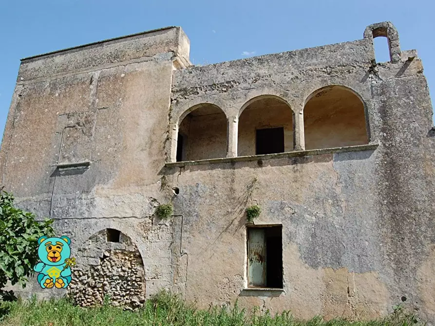 Immagine 4 di Casa colonica in vendita  a Squinzano