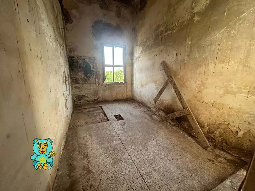 Immagine 21 di Casa colonica in vendita  a Squinzano