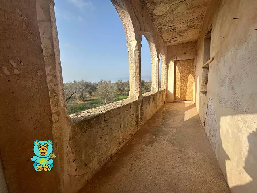 Immagine 36 di Casa colonica in vendita  a Squinzano