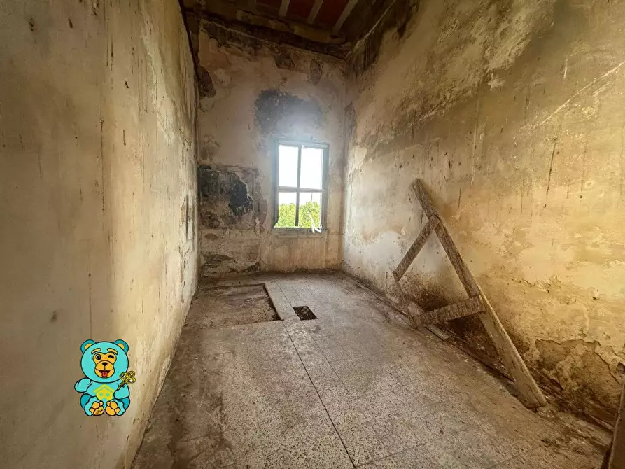 Immagine 24 di Casa colonica in vendita  a Squinzano