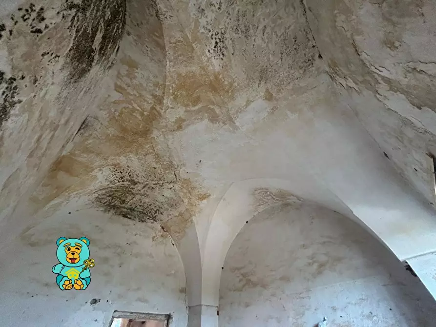 Immagine 16 di Casa colonica in vendita  a Squinzano