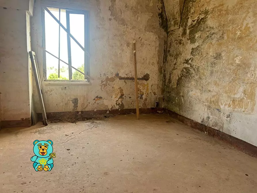 Immagine 15 di Casa colonica in vendita  a Squinzano