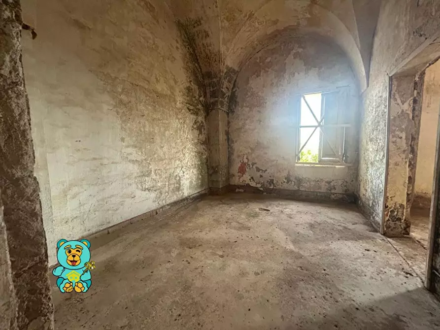 Immagine 31 di Casa colonica in vendita  a Squinzano