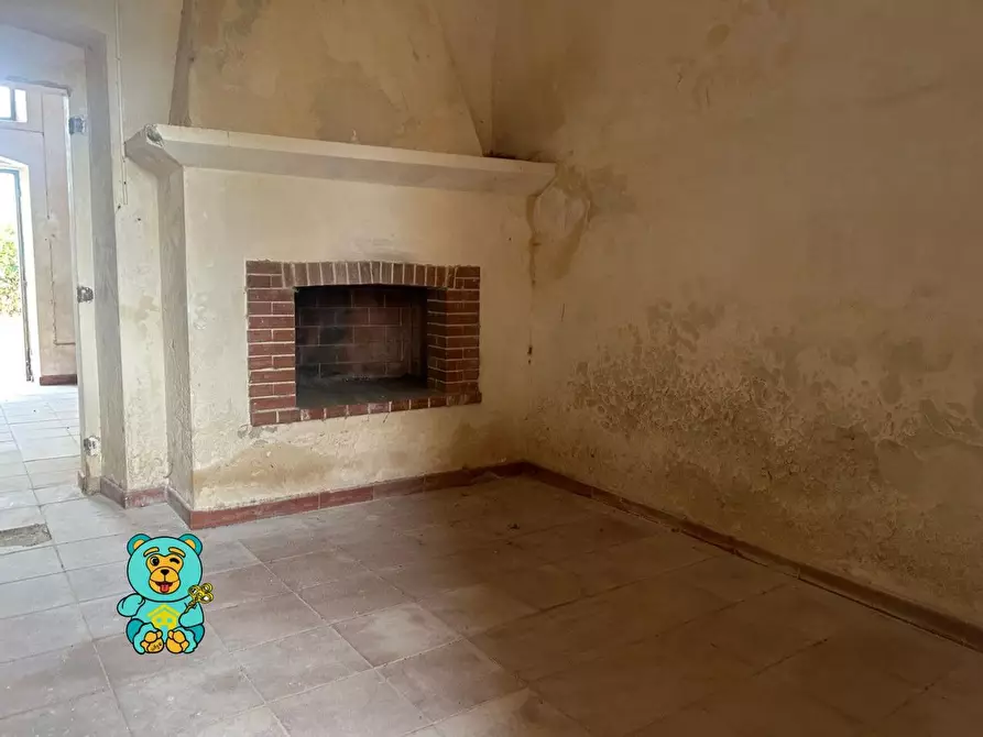 Immagine 40 di Casa colonica in vendita  a Squinzano