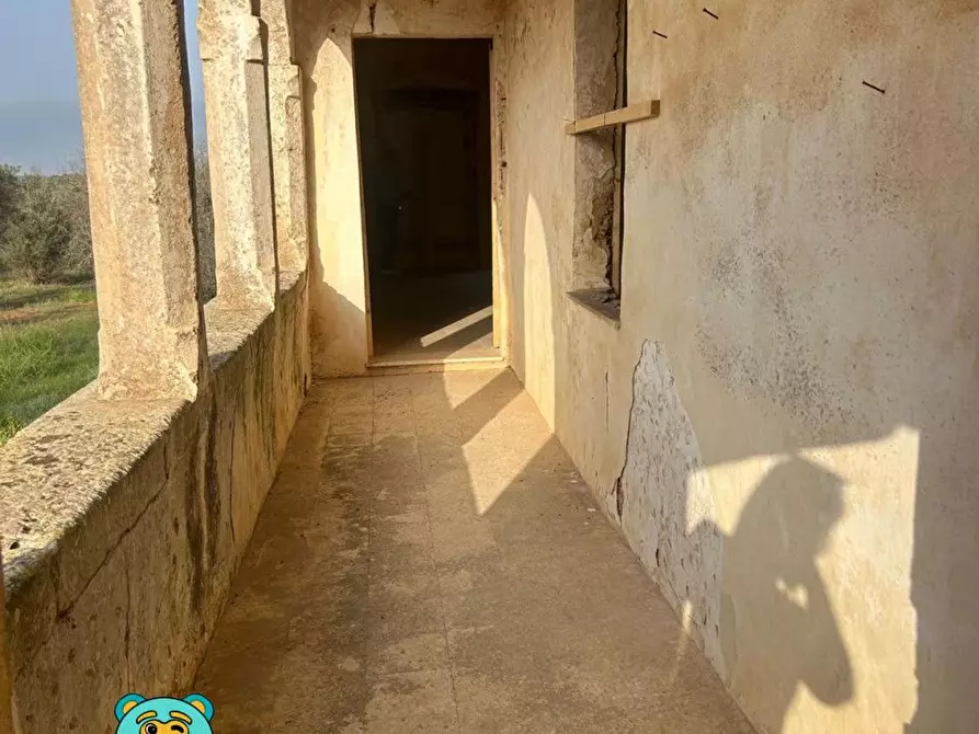 Immagine 10 di Casa colonica in vendita  a Squinzano