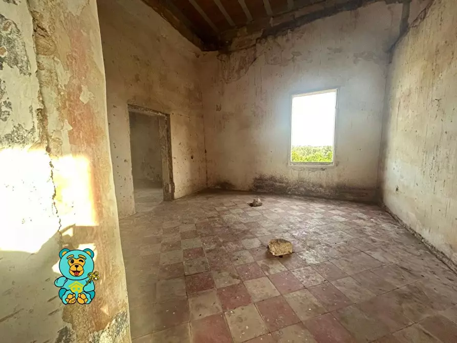 Immagine 27 di Casa colonica in vendita  a Squinzano