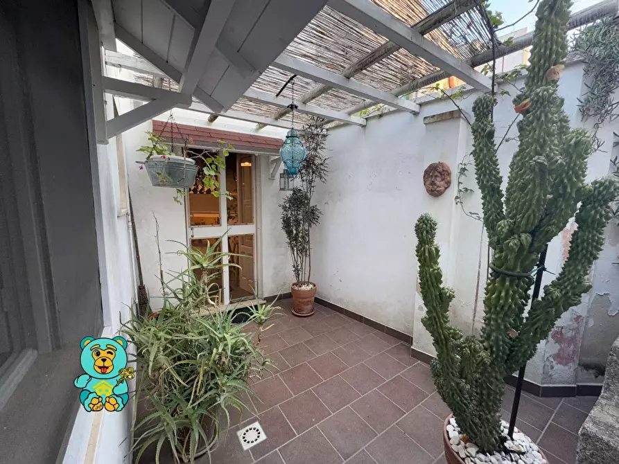 Immagine 21 di Casa indipendente in vendita  a Campi Salentina