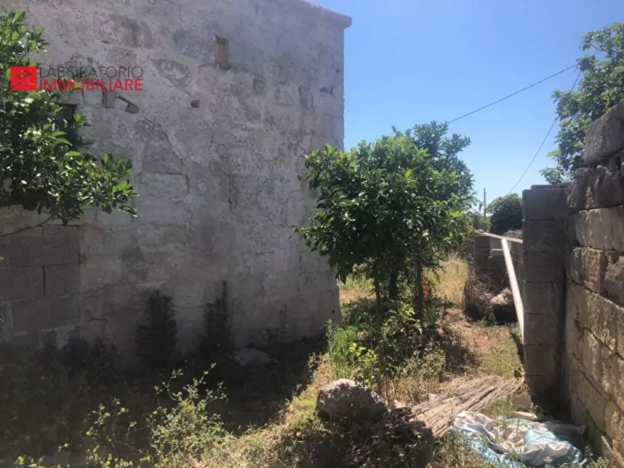 Immagine 35 di Casa colonica in vendita  a Diso