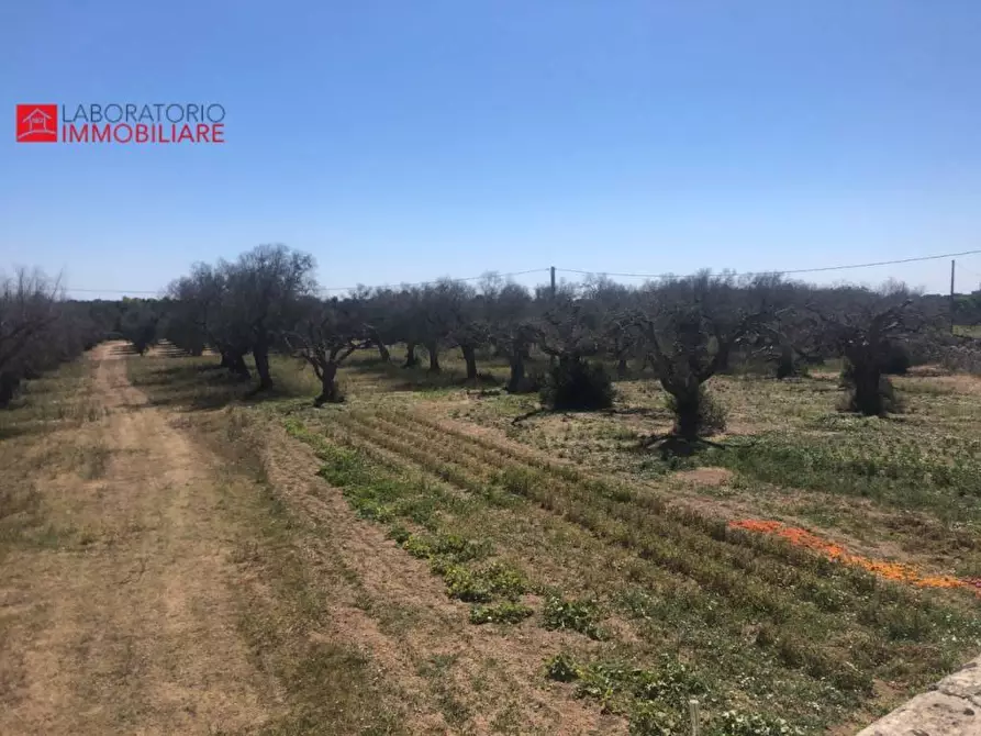 Immagine 29 di Casa colonica in vendita  a Diso