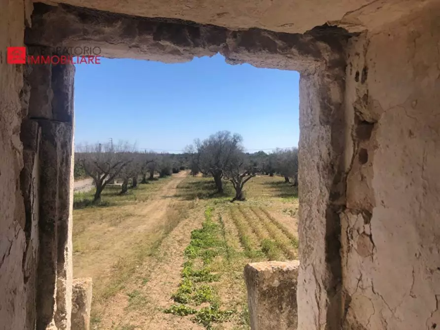 Immagine 28 di Casa colonica in vendita  a Diso