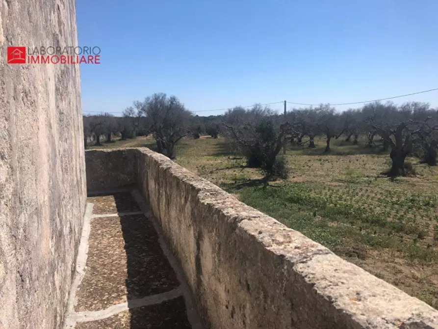 Immagine 31 di Casa colonica in vendita  a Diso