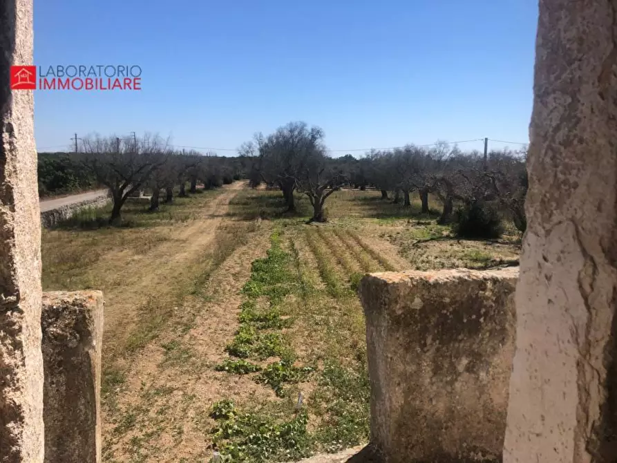 Immagine 13 di Casa colonica in vendita  a Diso