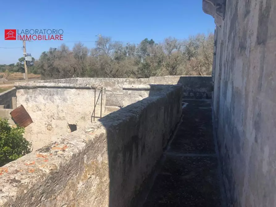 Immagine 16 di Casa colonica in vendita  a Diso