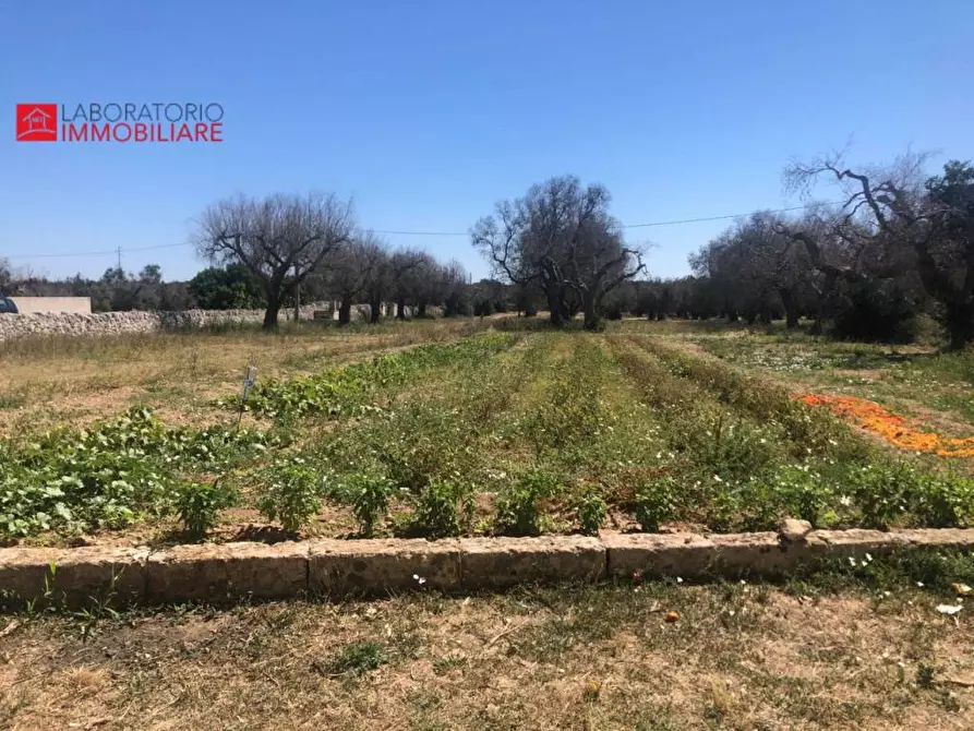 Immagine 39 di Casa colonica in vendita  a Diso