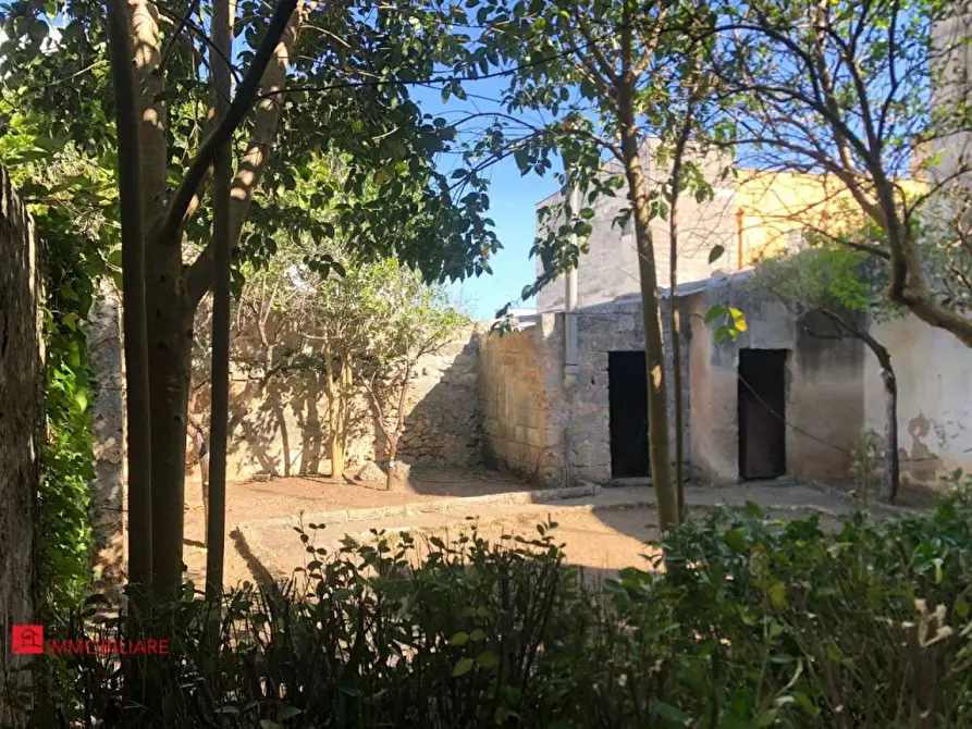 Immagine 16 di Appartamento in vendita  a Campi Salentina