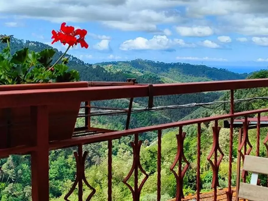 Immagine 11 di Villa in vendita  a Camaiore