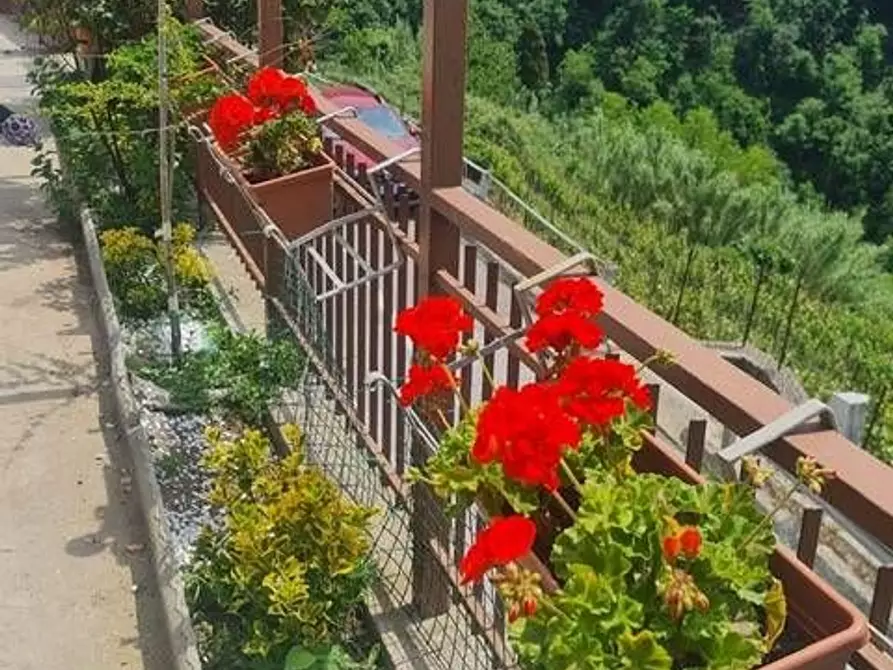 Immagine 6 di Villa in vendita  a Camaiore
