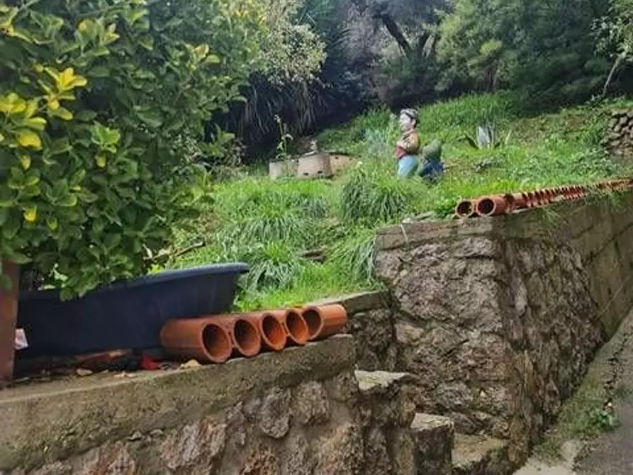 Immagine 5 di Villa in vendita  a Camaiore