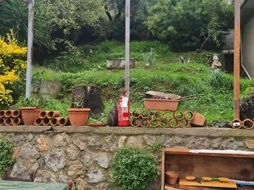 Immagine 4 di Villa in vendita  a Camaiore