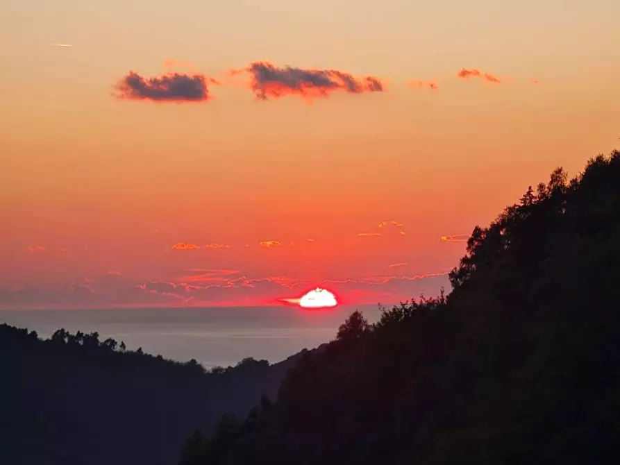 Immagine 2 di Villa in vendita  a Camaiore