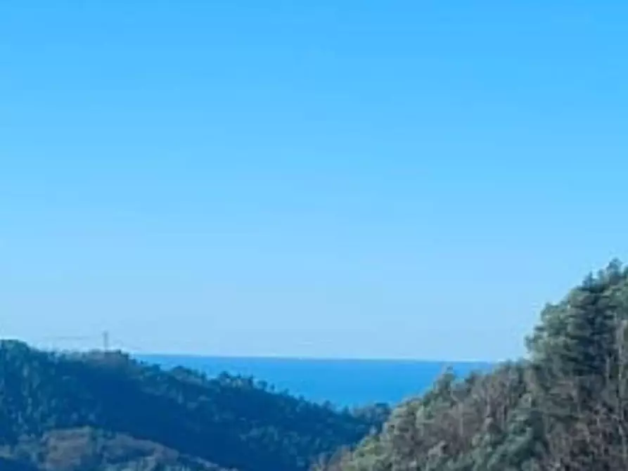 Immagine 1 di Villa in vendita  a Camaiore