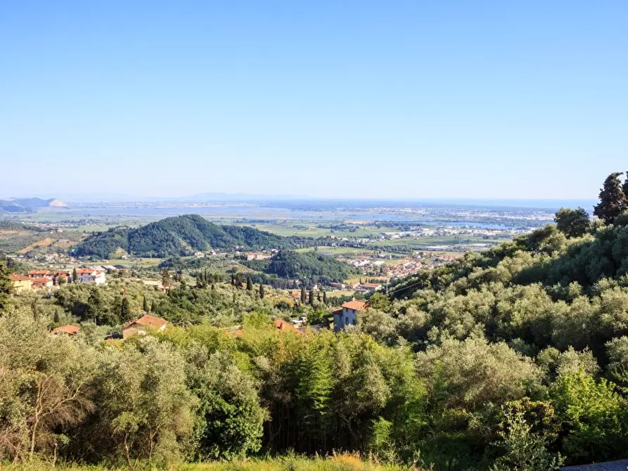 Immagine 26 di Villa in vendita  a Massarosa