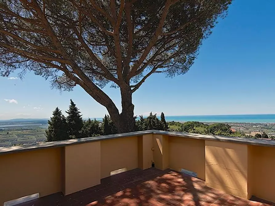 Immagine 23 di Villa in vendita  a Massarosa
