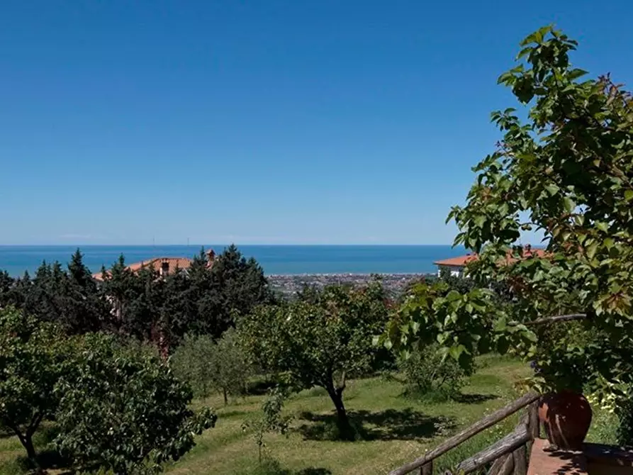 Immagine 9 di Villa in vendita  a Massarosa