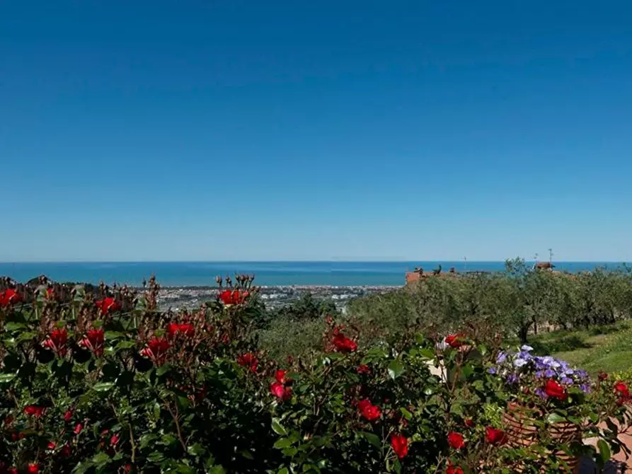 Immagine 8 di Villa in vendita  a Massarosa