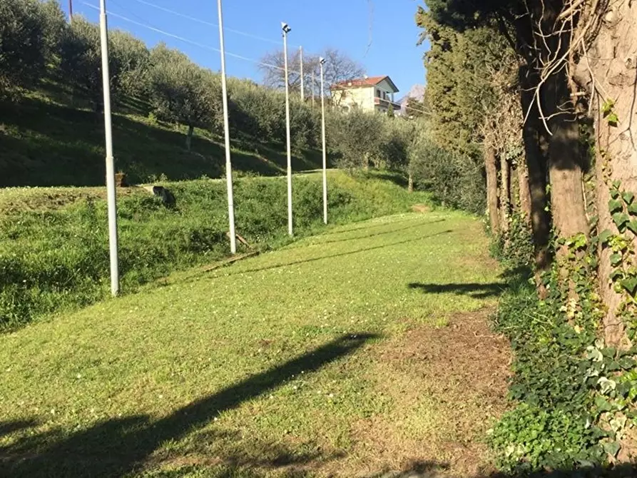 Immagine 13 di Villa in vendita  a Massarosa