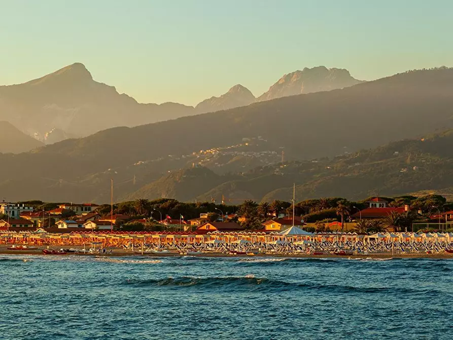 Immagine 20 di Locale commerciale in affitto  a Pietrasanta