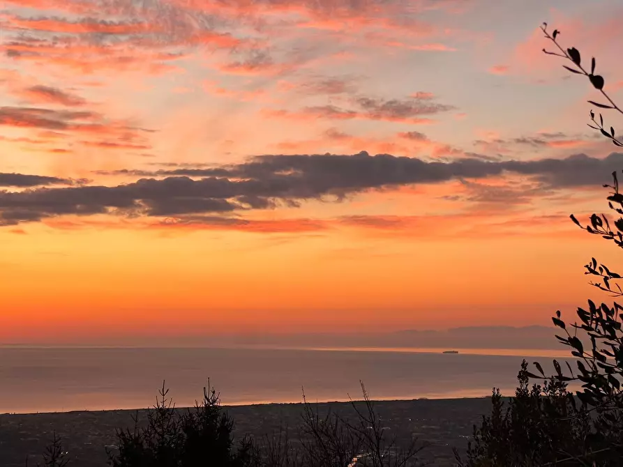 Immagine 22 di Casa colonica in vendita  a Pietrasanta